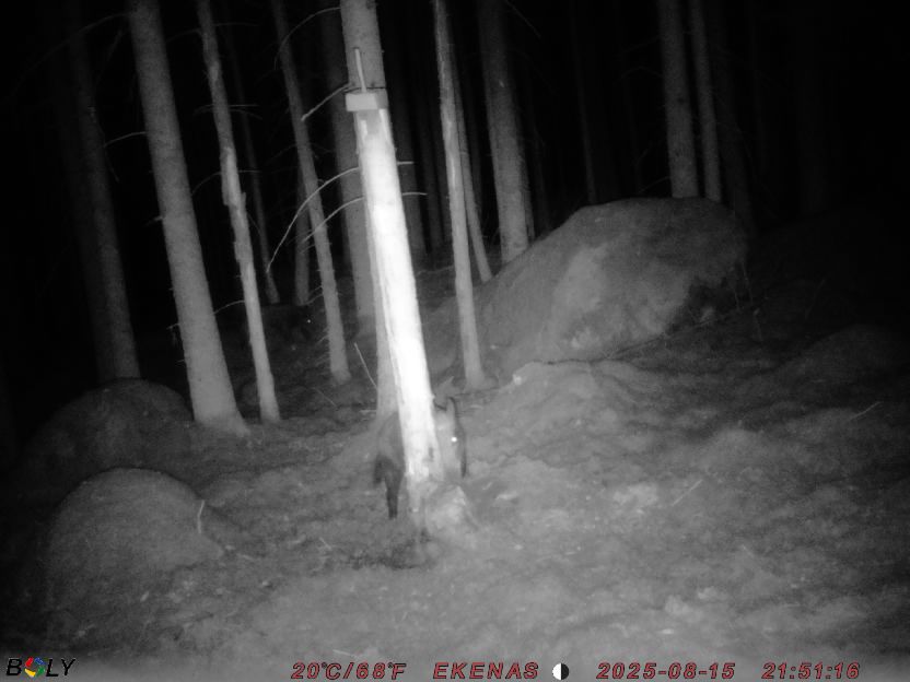 Bild från EKENÄSSALTSTEN