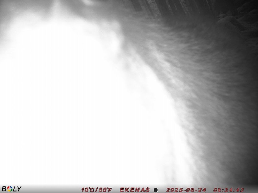 Bild från EKENÄSSALTSTEN