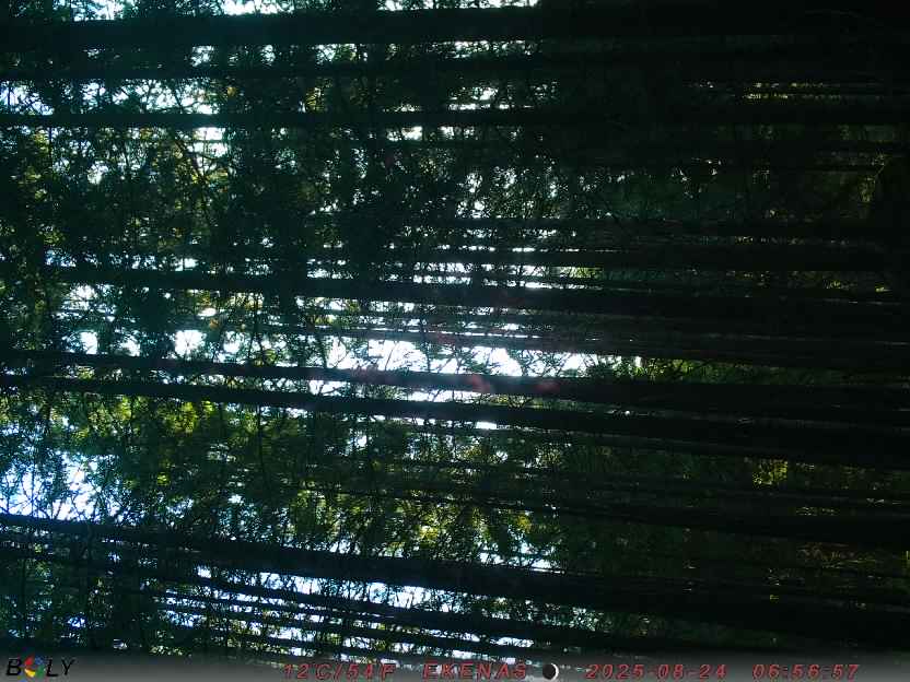 Bild från EKENÄSSALTSTEN