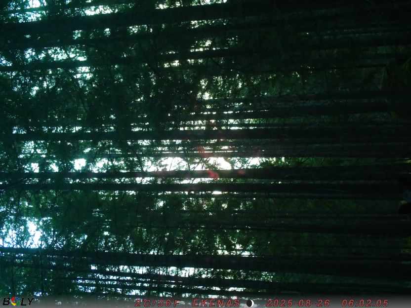 Bild från EKENÄSSALTSTEN