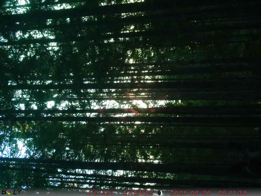 Bild från EKENÄSSALTSTEN