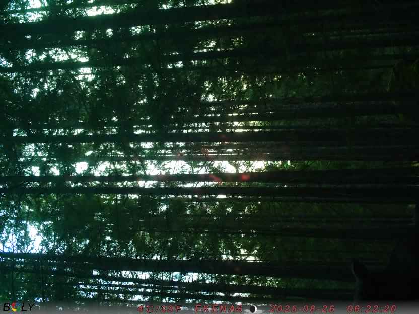 Bild från EKENÄSSALTSTEN