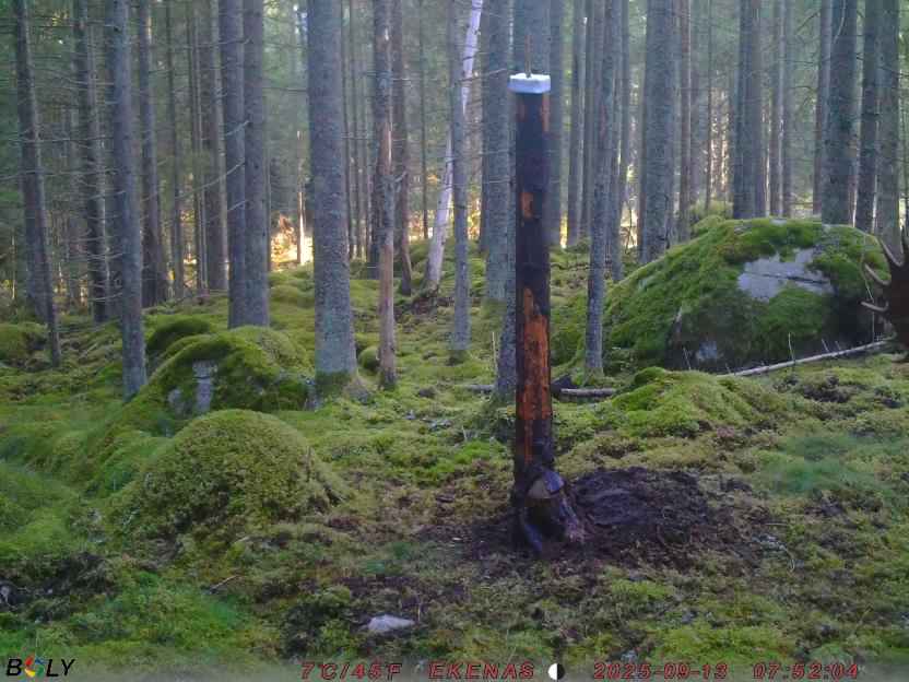 Bild från EKENÄSSALTSTEN