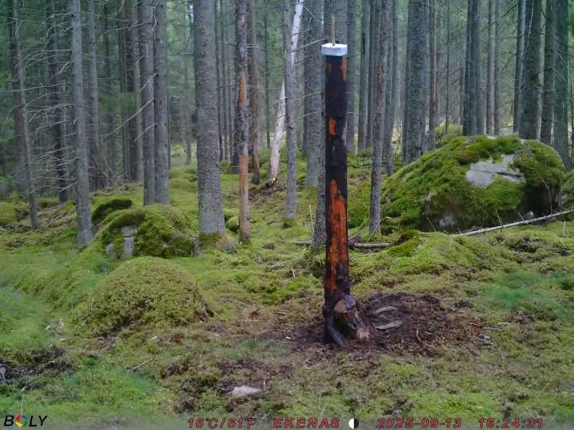 Bild från EKENÄSSALTSTEN