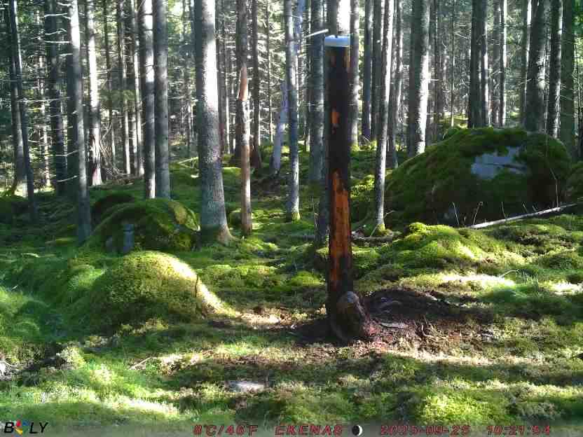 Bild från EKENÄSSALTSTEN