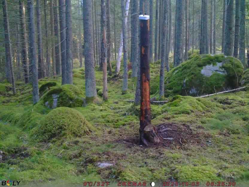 Bild från EKENÄSSALTSTEN