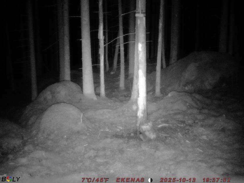 Bild från EKENÄSSALTSTEN