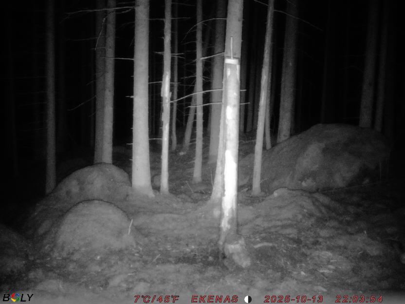 Bild från EKENÄSSALTSTEN