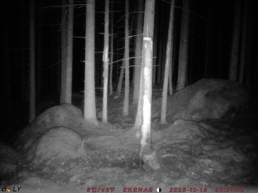 Bild från EKENÄSSALTSTEN