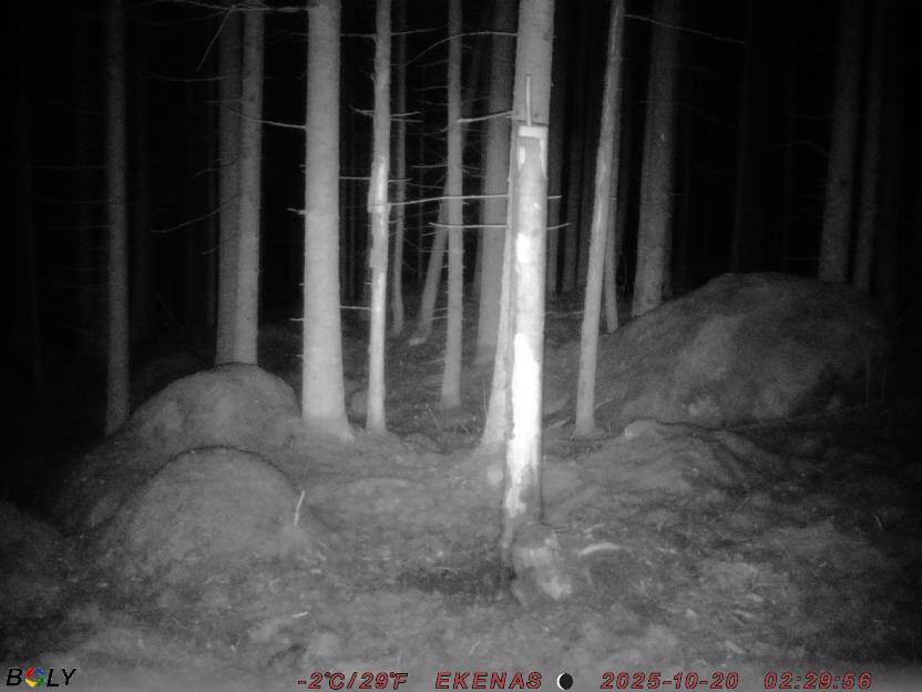 Bild från EKENÄSSALTSTEN