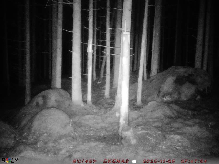 Bild från EKENÄSSALTSTEN