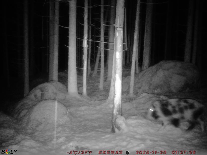 Bild från EKENÄSSALTSTEN