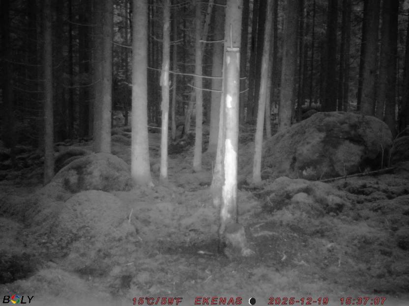 Bild från EKENÄSSALTSTEN