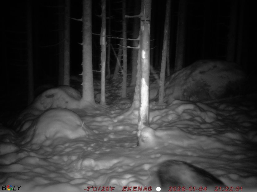 Bild från EKENÄSSALTSTEN