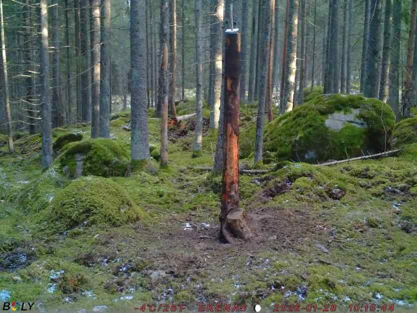 Bild från EKENÄSSALTSTEN