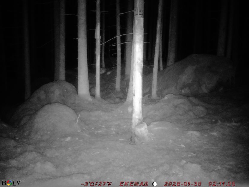 Bild från EKENÄSSALTSTEN