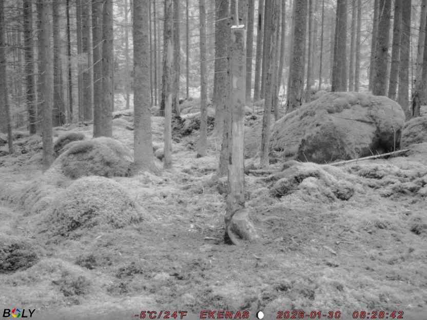 Bild från EKENÄSSALTSTEN