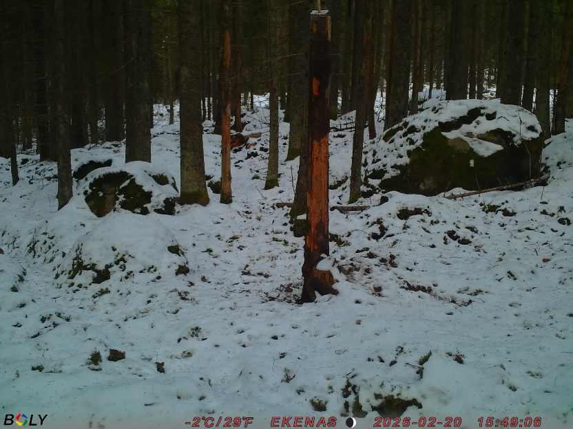 Bild från EKENÄSSALTSTEN