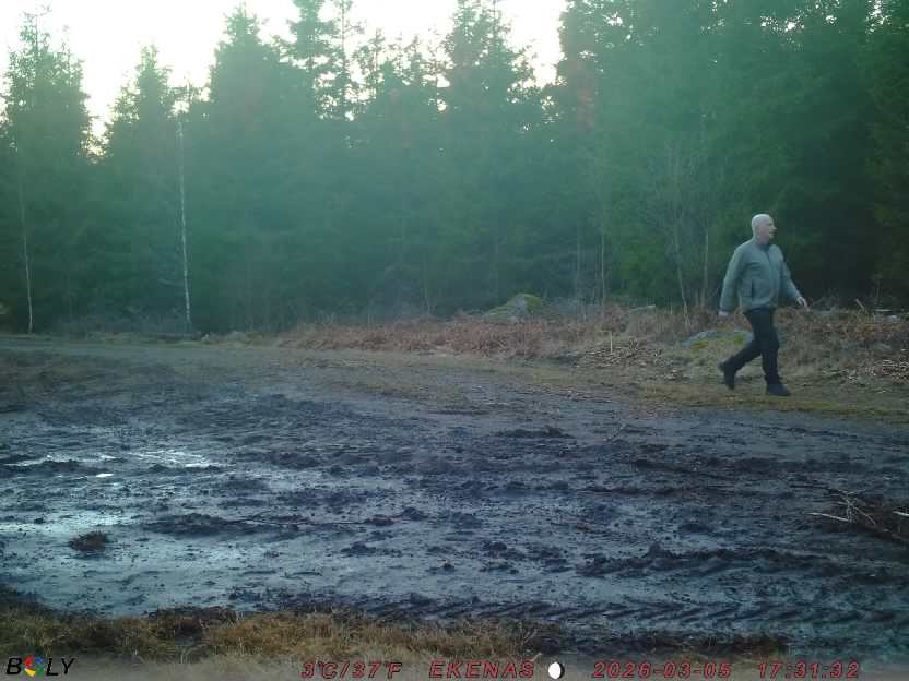 Bild från EKENÄSSALTSTEN