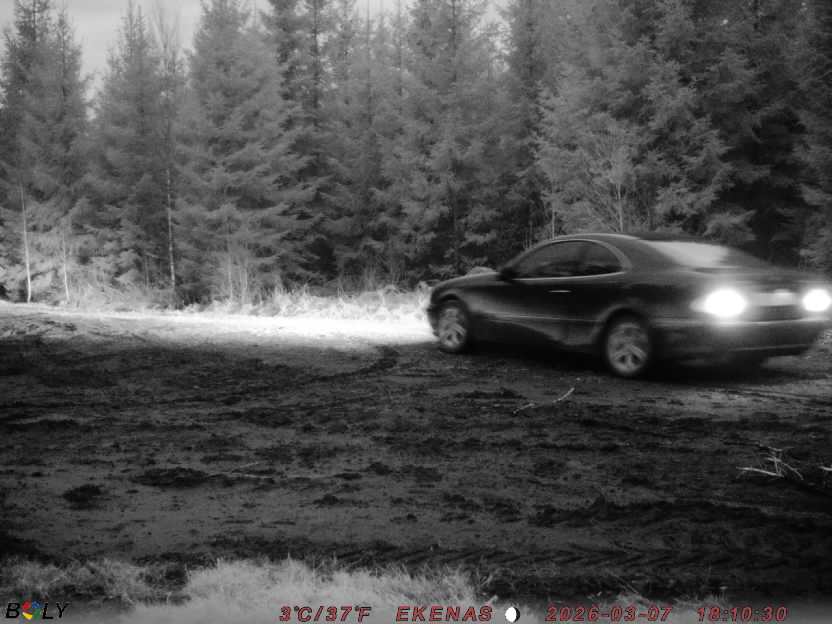 Bild från EKENÄSSALTSTEN