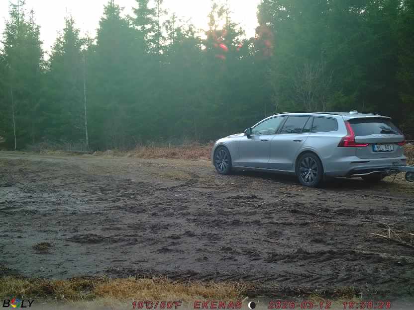 Bild från EKENÄSSALTSTEN