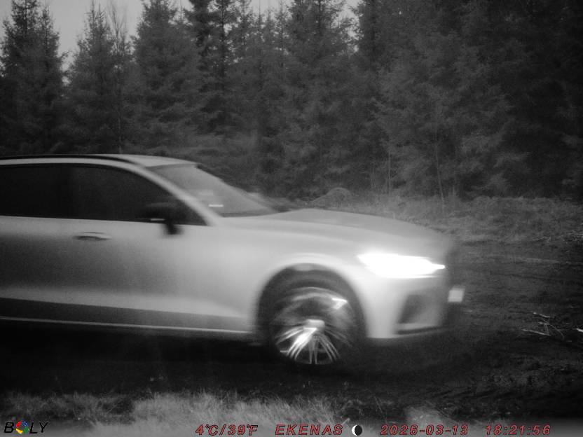 Bild från EKENÄSSALTSTEN