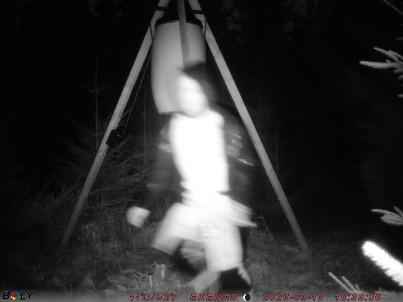 Bild från EKENÄSSALTSTEN