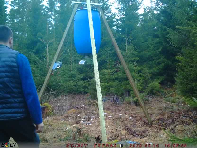 Bild från EKENÄSSALTSTEN