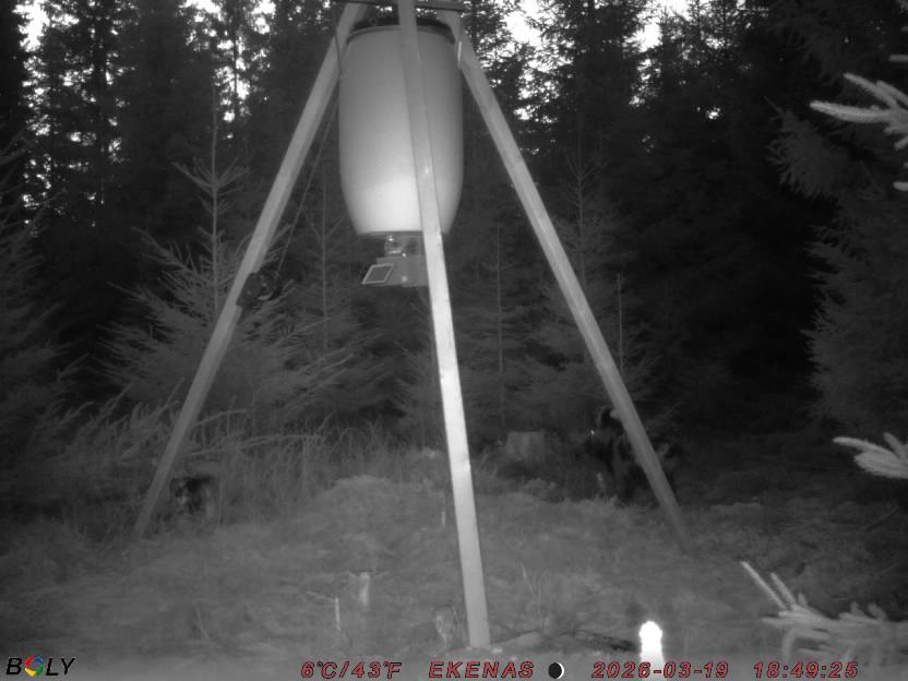 Bild från EKENÄSSALTSTEN