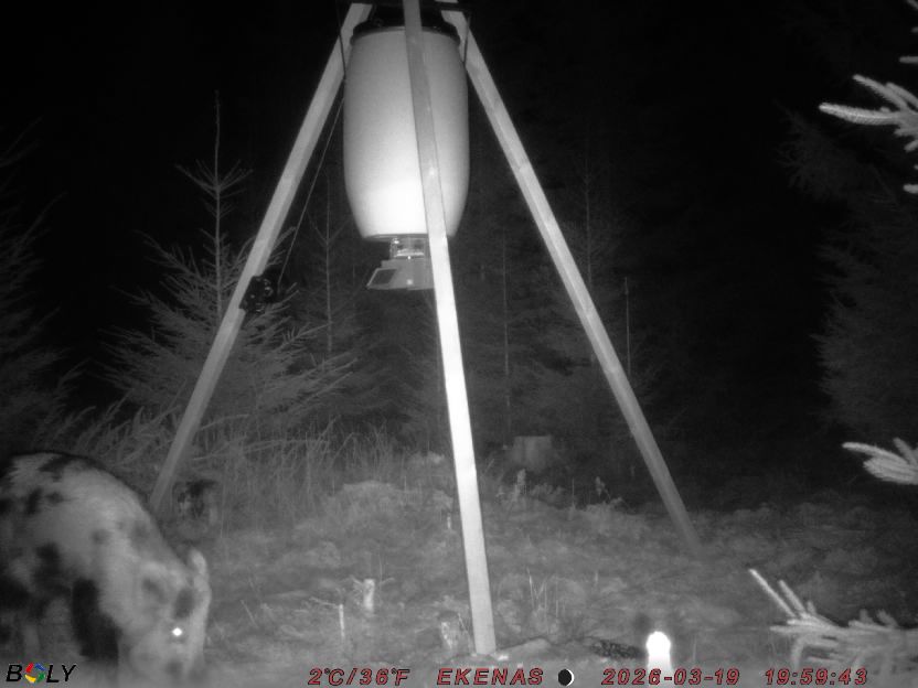 Bild från EKENÄSSALTSTEN