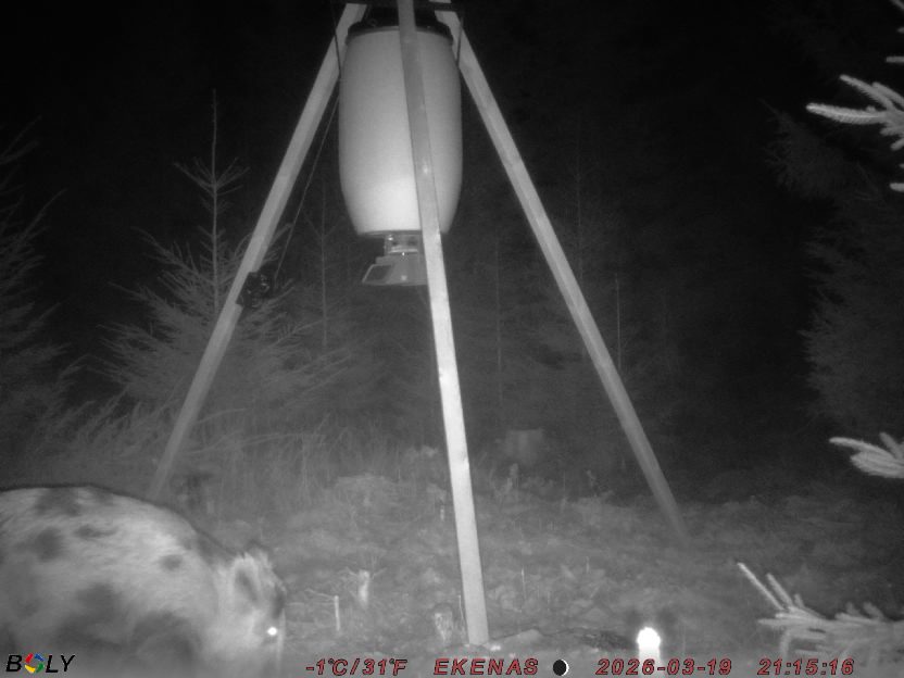 Bild från EKENÄSSALTSTEN