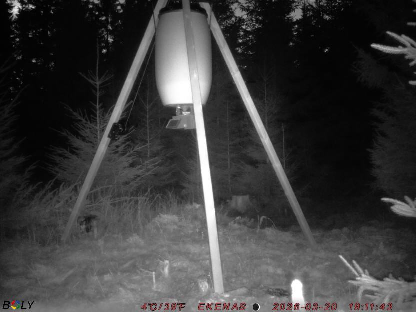 Bild från EKENÄSSALTSTEN