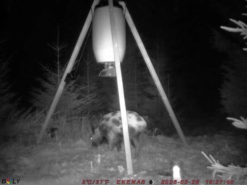 Bild från EKENÄSSALTSTEN