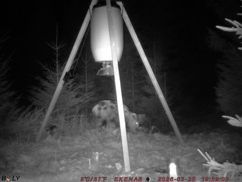 Bild från EKENÄSSALTSTEN