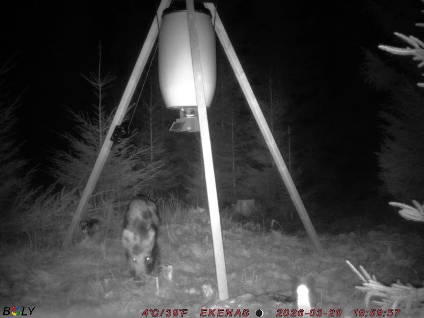 Bild från EKENÄSSALTSTEN