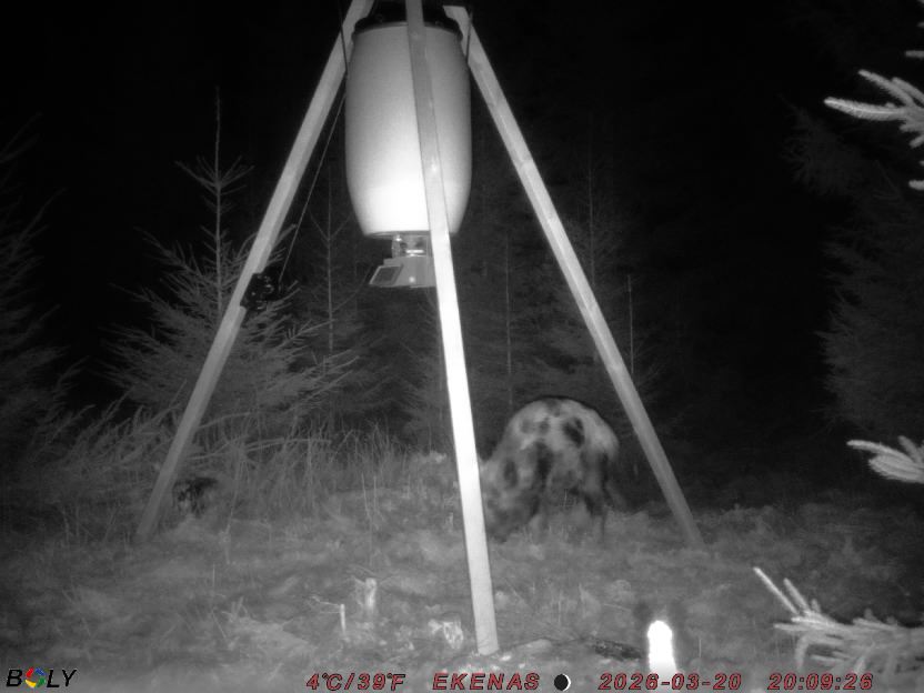 Bild från EKENÄSSALTSTEN