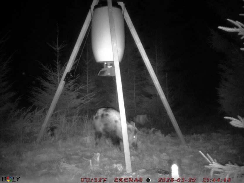 Bild från EKENÄSSALTSTEN