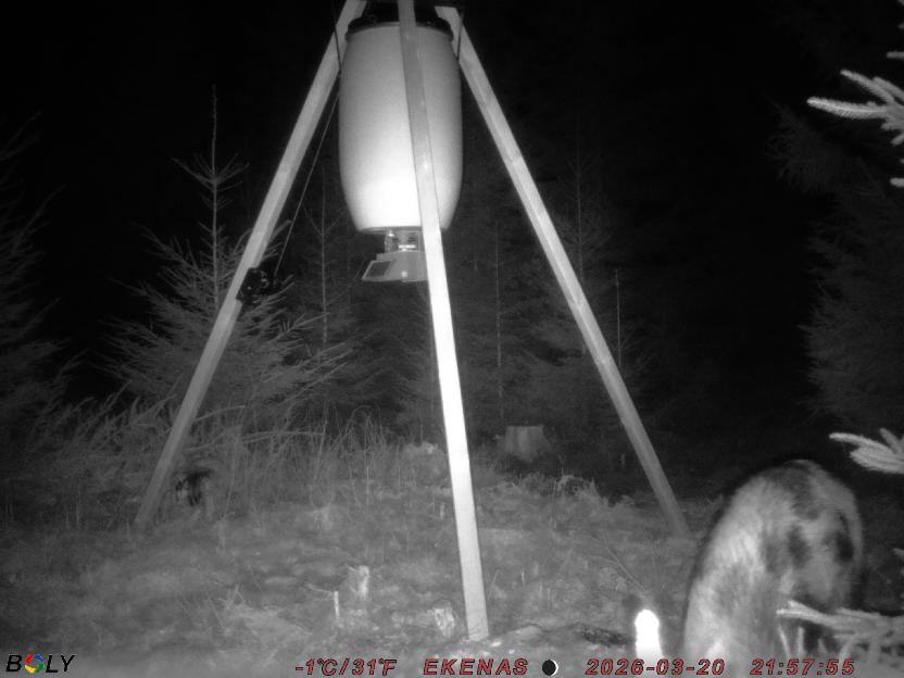 Bild från EKENÄSSALTSTEN