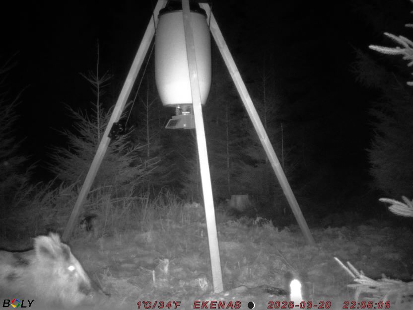 Bild från EKENÄSSALTSTEN