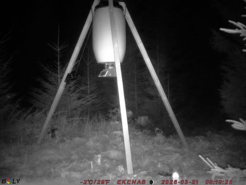 Bild från EKENÄSSALTSTEN