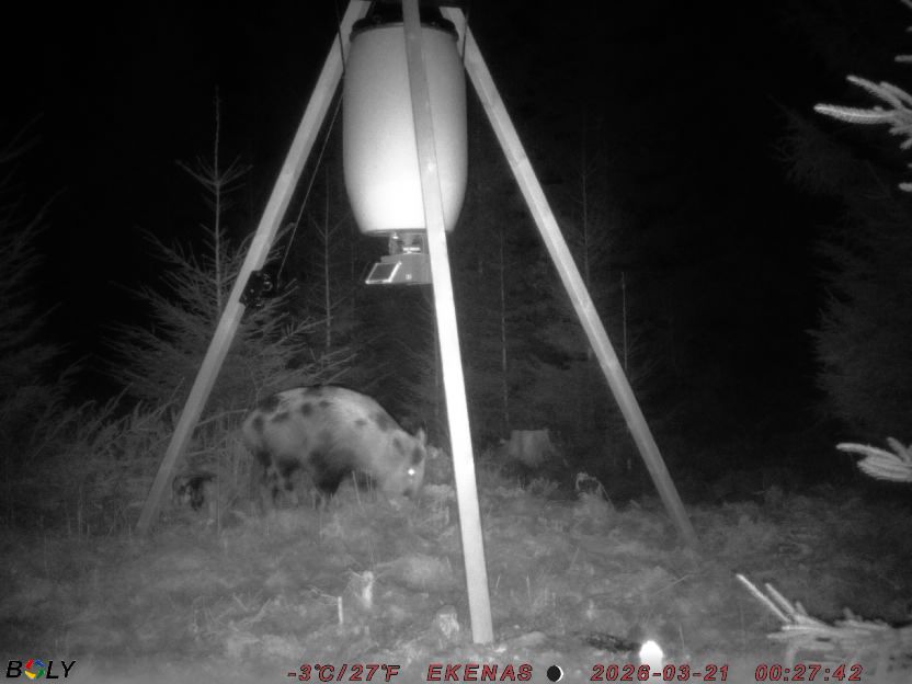 Bild från EKENÄSSALTSTEN