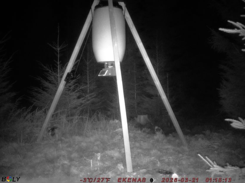 Bild från EKENÄSSALTSTEN