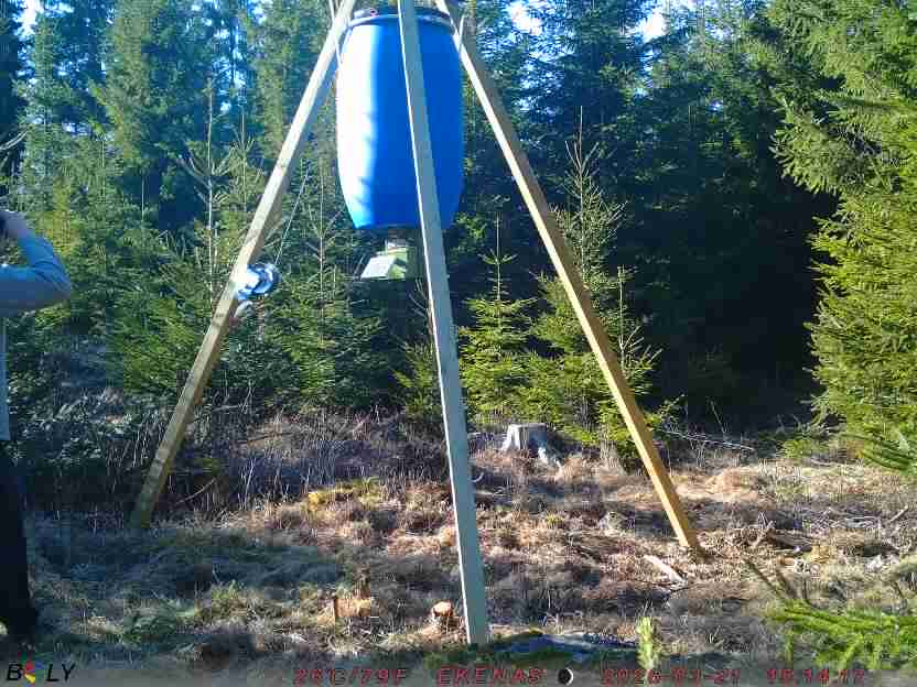 Bild från EKENÄSSALTSTEN