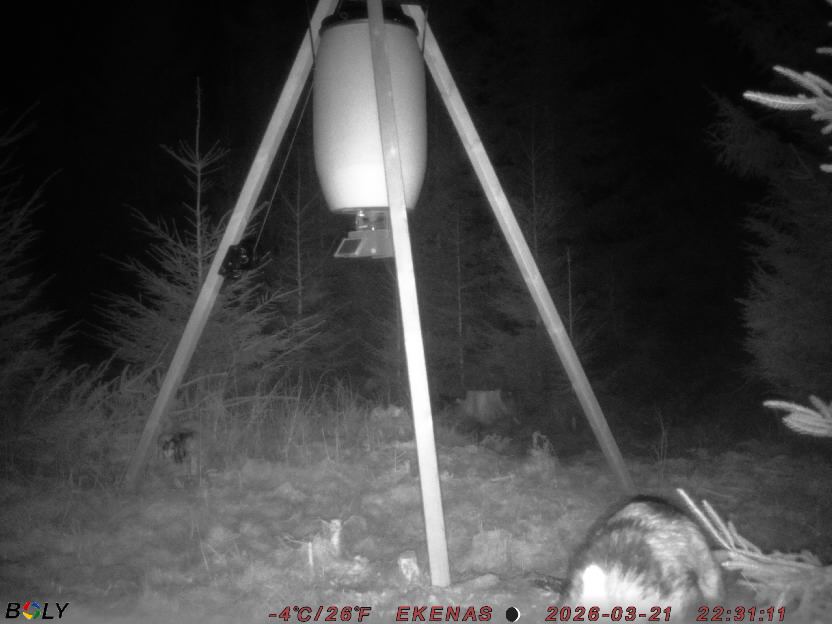 Bild från EKENÄSSALTSTEN