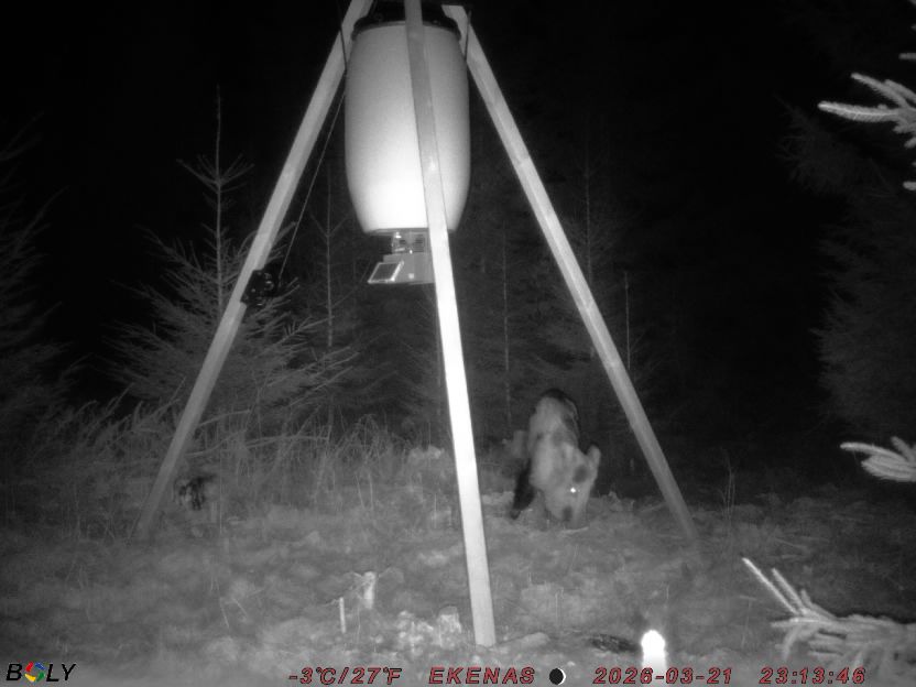 Bild från EKENÄSSALTSTEN