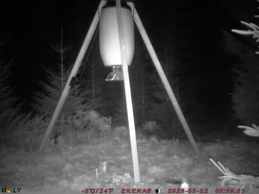 Bild från EKENÄSSALTSTEN