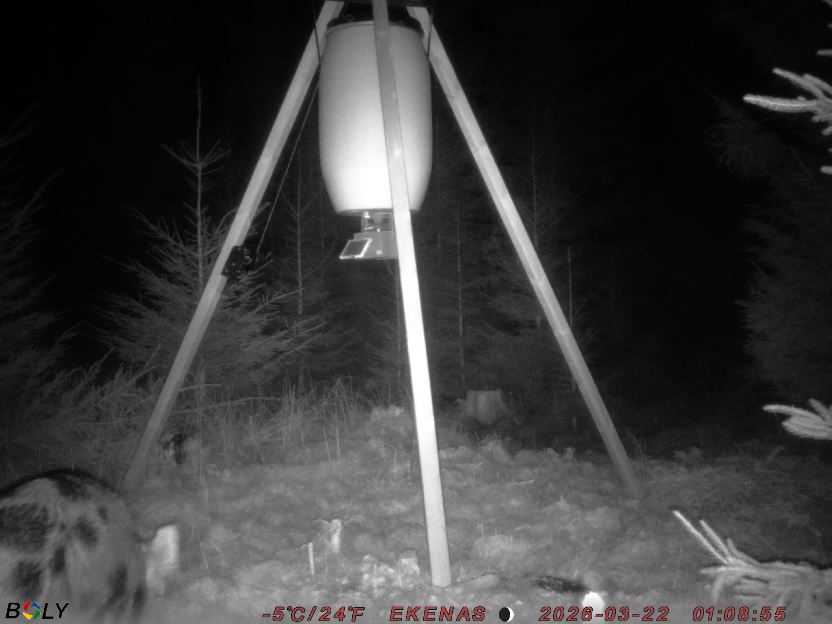 Bild från EKENÄSSALTSTEN