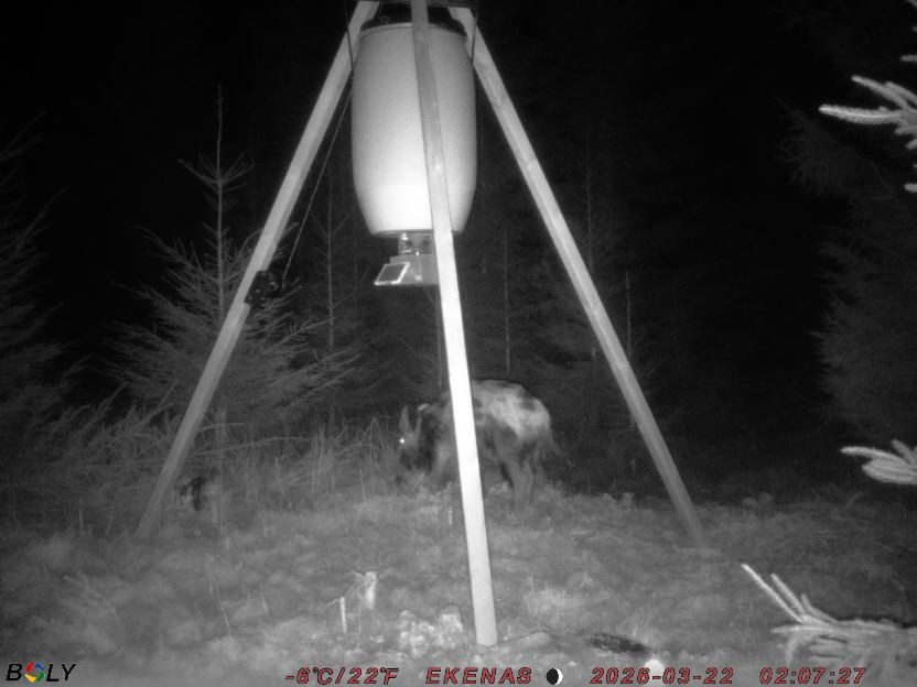 Bild från EKENÄSSALTSTEN