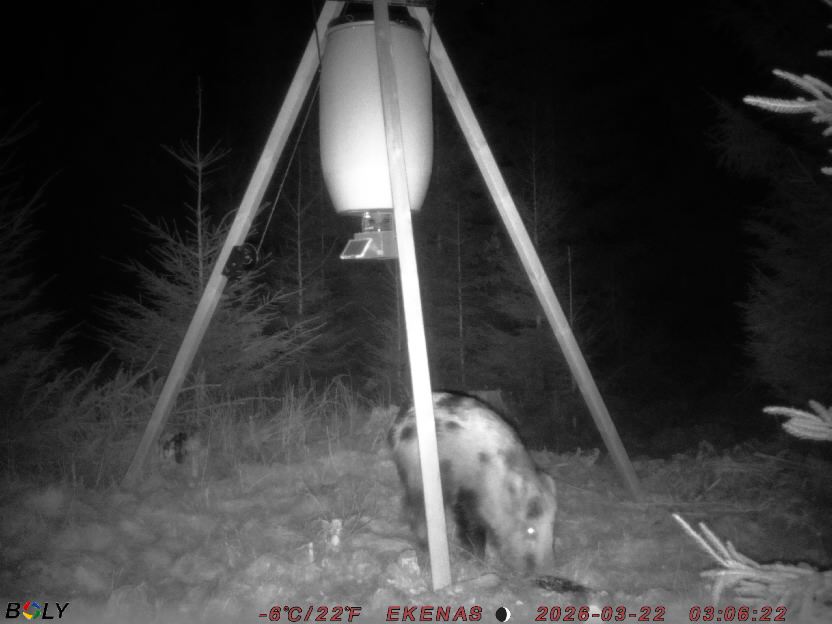 Bild från EKENÄSSALTSTEN