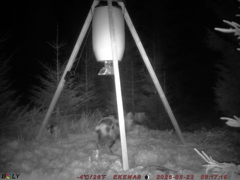 Bild från EKENÄSSALTSTEN